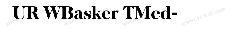 汉仪UR WBasker TMed字体转换